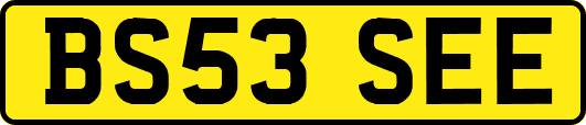 BS53SEE