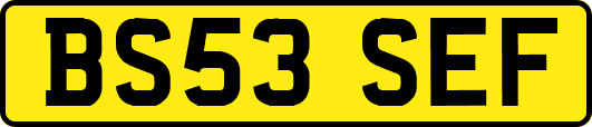 BS53SEF
