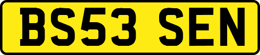 BS53SEN