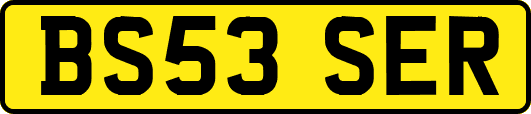 BS53SER