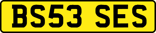 BS53SES