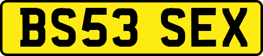 BS53SEX