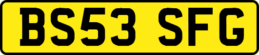 BS53SFG