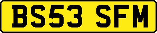 BS53SFM