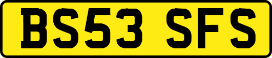 BS53SFS