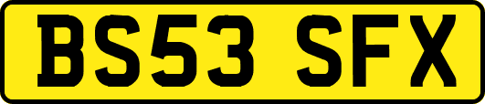 BS53SFX