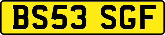 BS53SGF