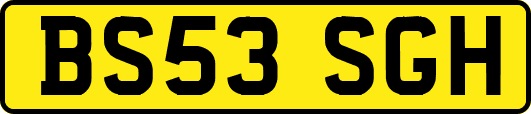 BS53SGH