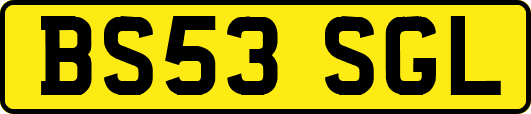 BS53SGL