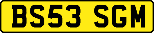 BS53SGM