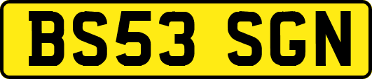 BS53SGN