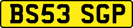 BS53SGP