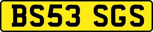 BS53SGS