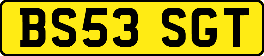BS53SGT