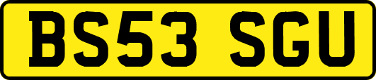 BS53SGU