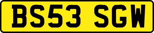 BS53SGW