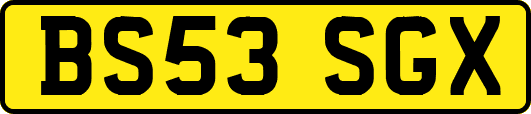 BS53SGX