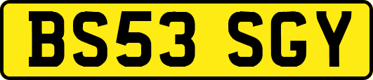 BS53SGY