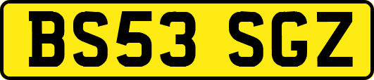 BS53SGZ