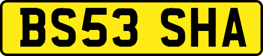 BS53SHA