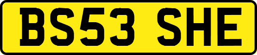 BS53SHE