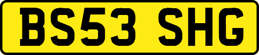 BS53SHG