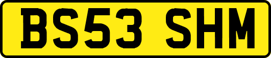 BS53SHM
