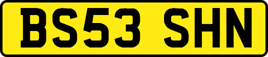 BS53SHN