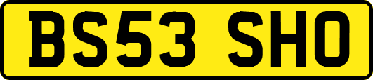 BS53SHO