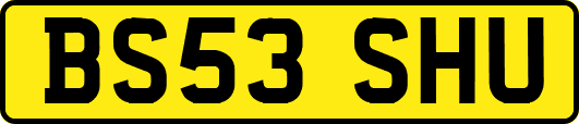 BS53SHU