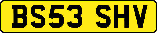 BS53SHV