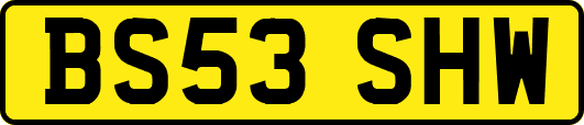 BS53SHW