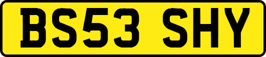 BS53SHY
