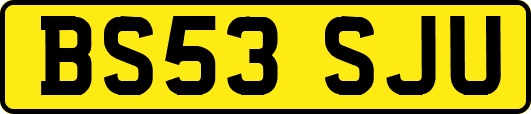BS53SJU