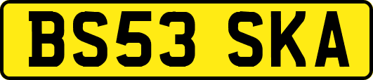 BS53SKA