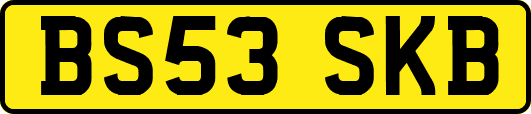 BS53SKB