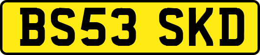 BS53SKD