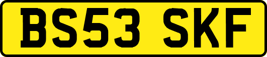 BS53SKF