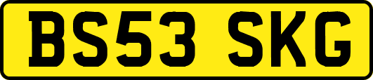 BS53SKG