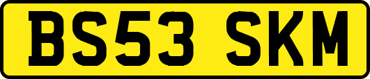 BS53SKM