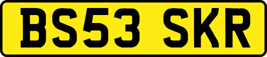 BS53SKR