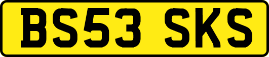 BS53SKS