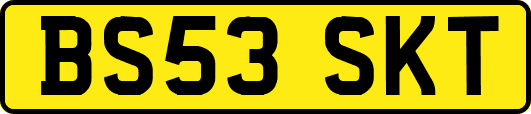 BS53SKT