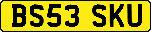 BS53SKU