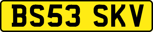 BS53SKV