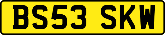 BS53SKW