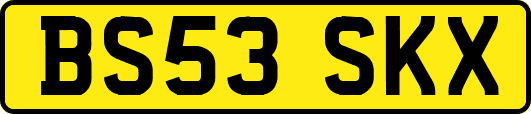 BS53SKX