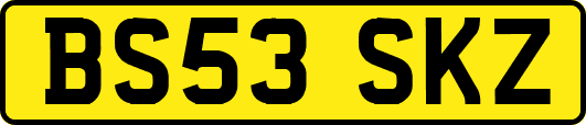 BS53SKZ