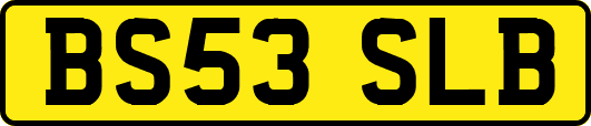 BS53SLB