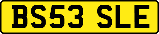 BS53SLE